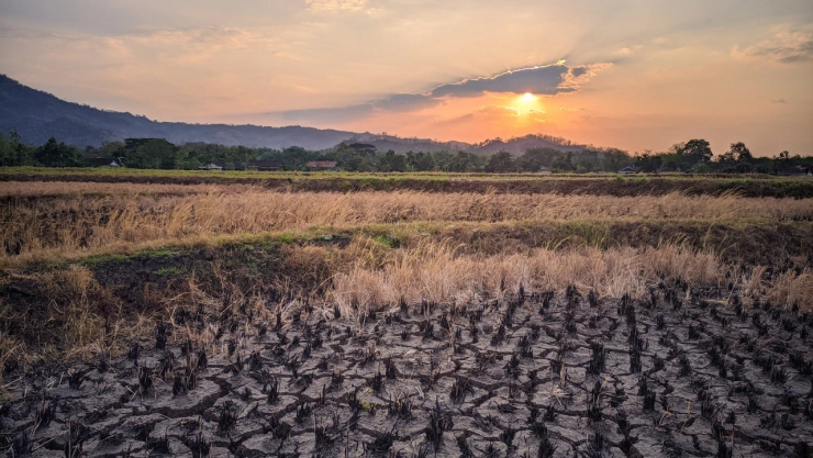 El Nuevo El Niño: El fenómeno oculto que podría transformar el clima