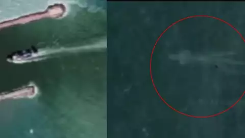 VIDEO_ Captan presunto ‘monstruo marino’ en playa de México, ¿De qué se trata_.jpg
