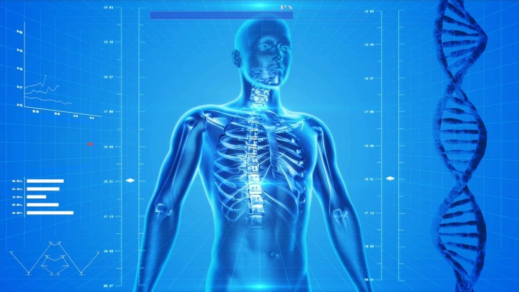 Esqueleto humano en 3d