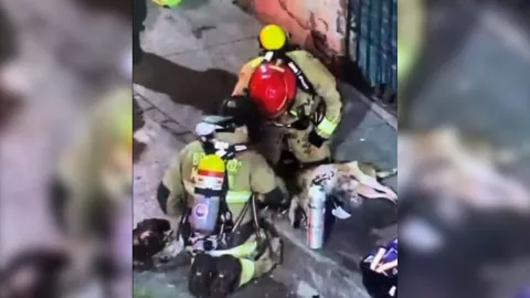 ¡No todos los héroes llevan capa! Rescatan a perro de FUERTE INCENDIO ¿fue en Guanajuato (VIDEO).jpg