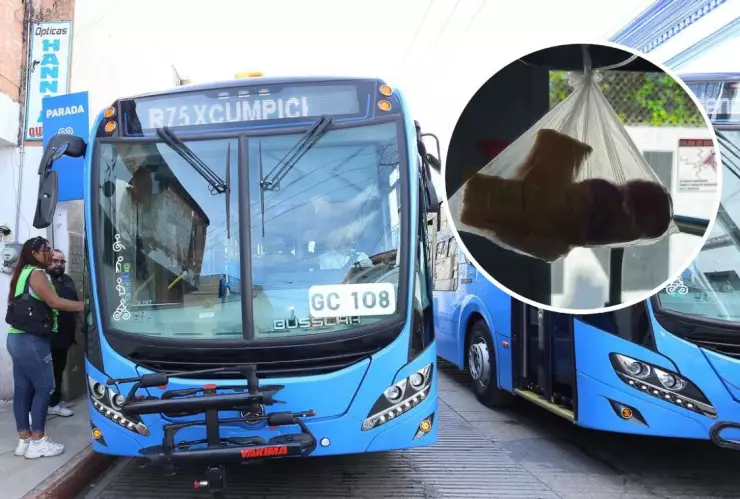 ¡Se busca! Pasajera deja OLVIDADOS sus panes en Va y Ven y se vuelve viral