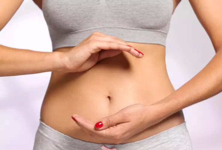 Harvard proteína digestión