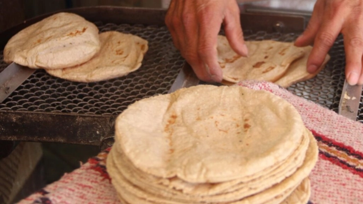 Precio de la tortilla en Yucatán es el cuarto más alto del país al inicio de la primera semana de abril 2025; ¿Cuánto cuesta el kilo?