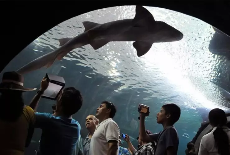 Confirman el fallecimiento de Benito.