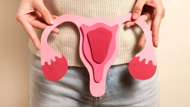 Estudio sugiere mayor riesgo de cáncer asociado al uso prolongado de la píldora anticonceptiva