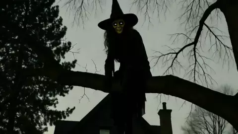 Bruja en el árbol de una casa