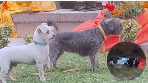 Volcadura en el Reliz