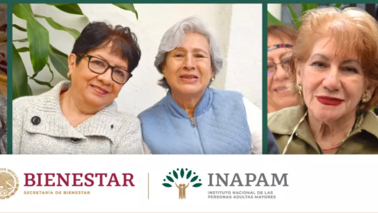 Lista de servicios gratis para adultos con INAPAM en México