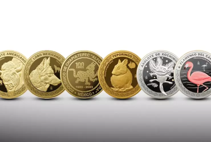 Nueva moneda conmemorativa del ajolote regresa a la venta, ¿cuál es su costo?