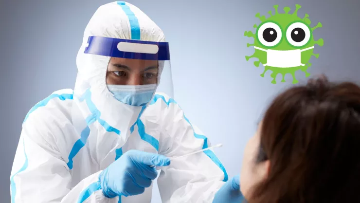 ¿Una nueva pandemia? ¿Qué es el virus Nipah, el patógeno letal que mantiene en alerta a la OMS?