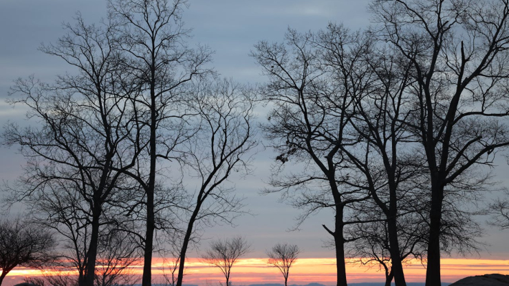 clima hoy ciudad juárez