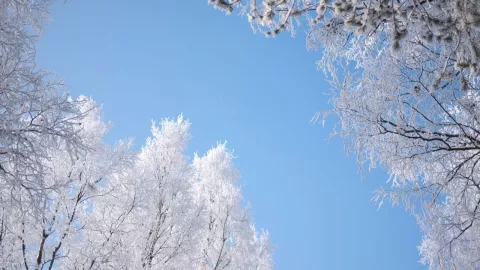 Pronóstico clima miércoles 8 de enero en Torreón, Gómez Palacio y Lerdo