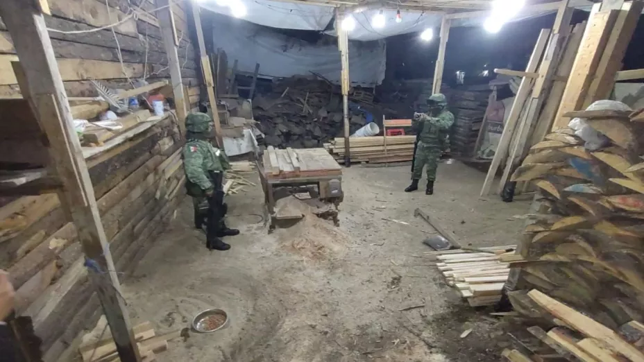 Atiende la Profepa tala ilegal en la zona sur de la Ciudad de México_AP.jpg