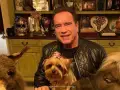 Arnold-Schwarzenegger-detective-en-el-kinder