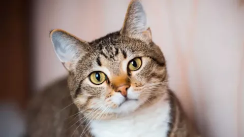 Texto del párrafo - 2025-05-05T135826.177.jpg