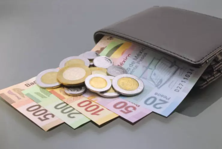 cartera con dinero.jpg