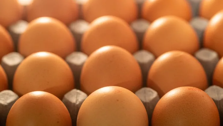 Este será el precio del kilo de huevo en México durante la cuarta semana de septiembre de 2023.