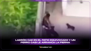 2-PERRITO-VS-LADRÓN.jpg