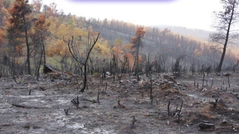La importancia de respetar las restricciones esta temporada de estiaje.