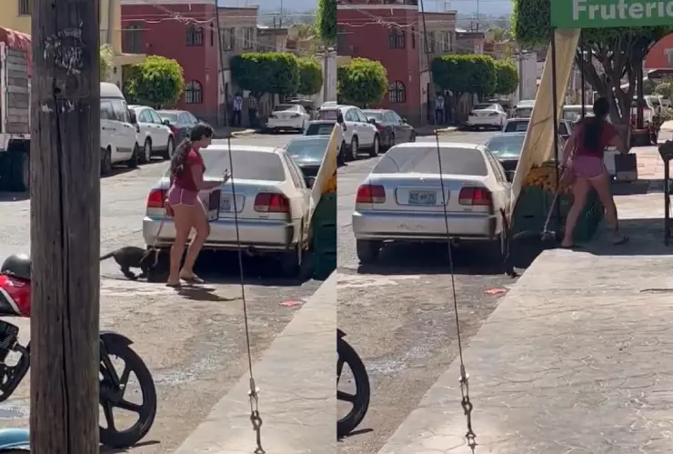 Rescatan a cachorro de jaguar que era paseado por una mujer en Jalisco