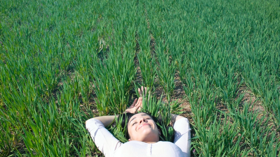 Descubre qué significa tu primer sueño del Año Nuevo 2024