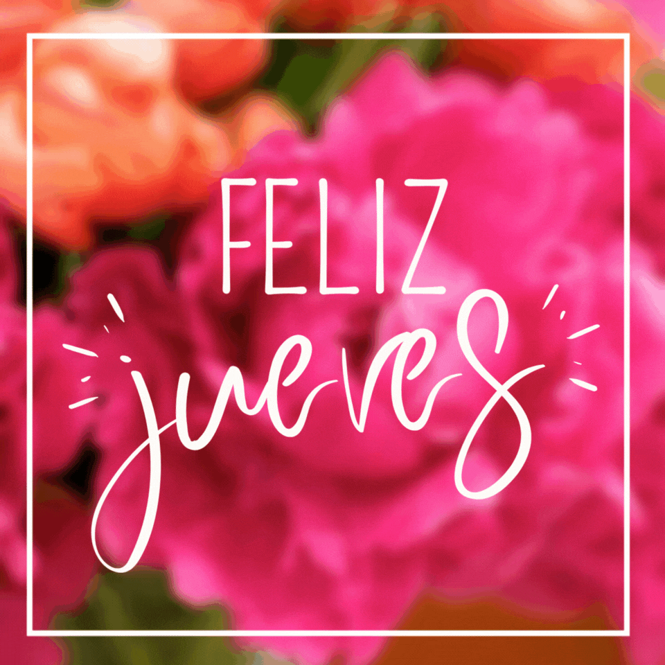 Imágenes de feliz jueves para WhatsApp y redes sociales