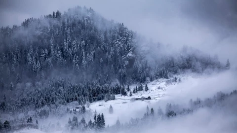 Mujer muere en auto en tormenta de nieve en Buffalo