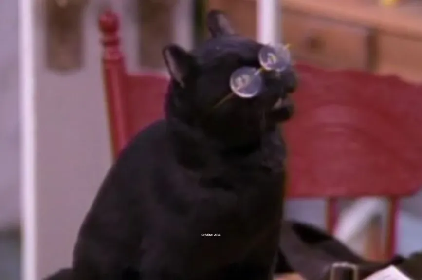 salem-saberhagen-sabrina-la-bruja-adolescente