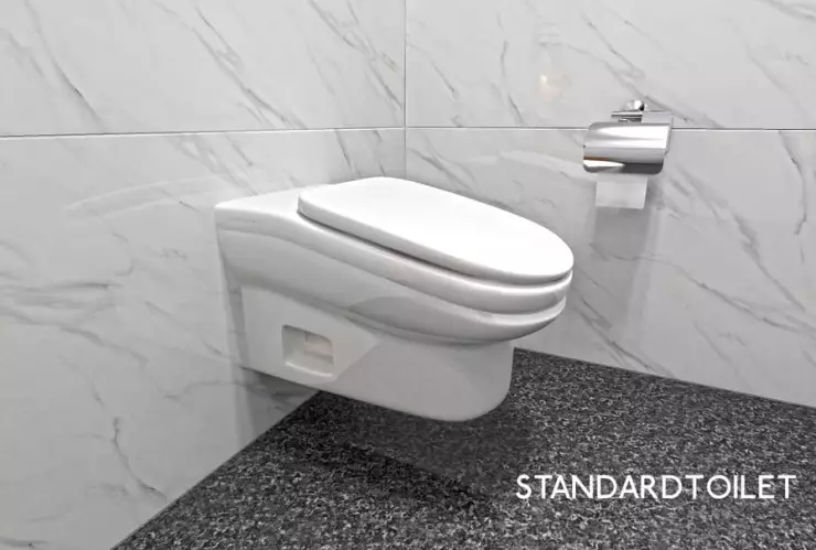 standard-toilet.jpg