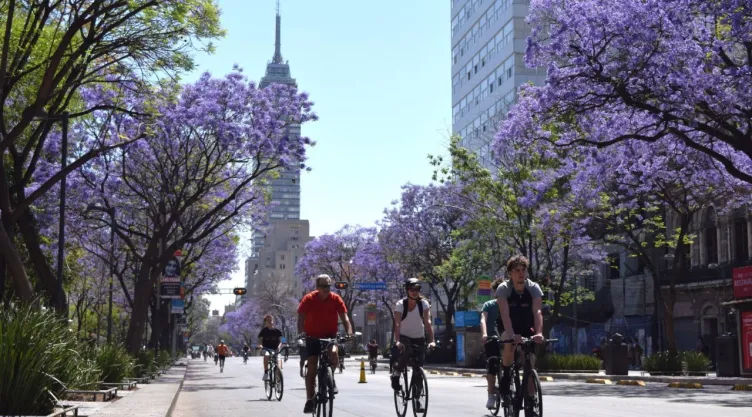 ¡Evita las multas! Estas bicicletas deben tramitar sus placas en CDMX durante 2024