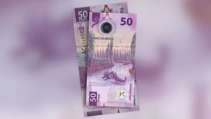Pagan 2.2 MDP por colección de billetes del ajolote con número de serie en concreto.jpg