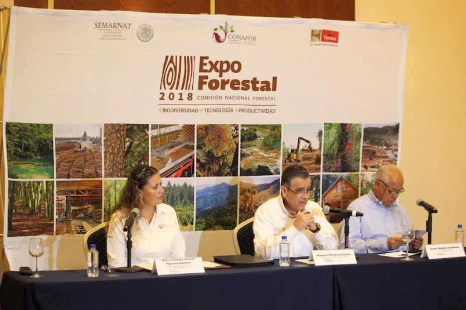 Expo Forestal