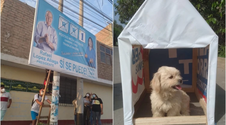 casas_perros_peru.jpg