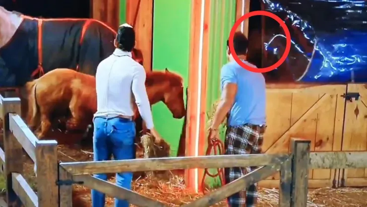 Surgen teorías sobre duendes en La Granja VIP tras peculiar hallazgo con los caballos