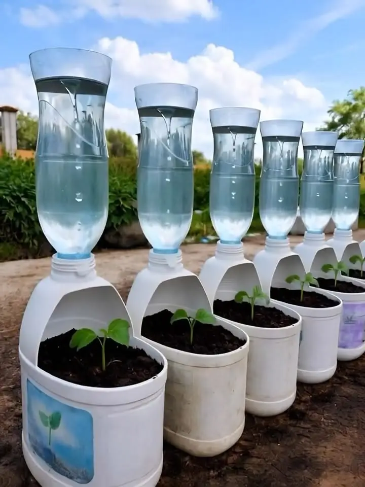 ¿Cómo reciclar tu garrafón de agua? Ideas para convertirlo en un mini invernadero