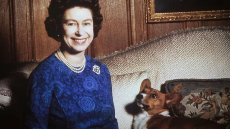 ¿Cuál es el futuro de los perros corgi de la reina Isabel II?