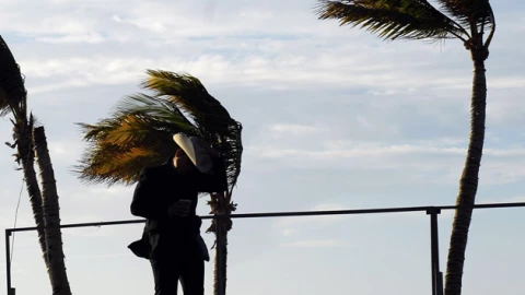 La fuerza del viento