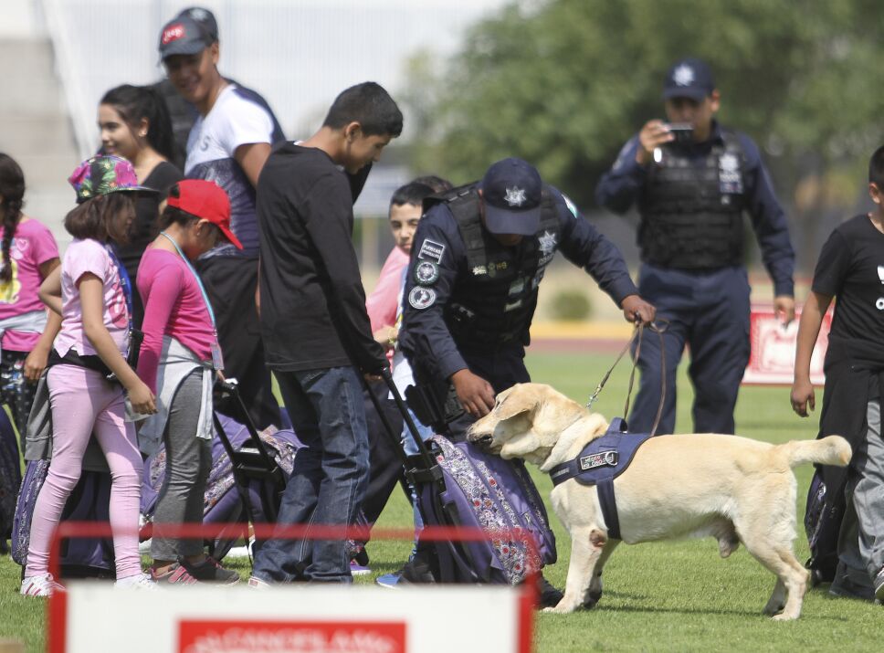 Unidad Canina de la Policía Federal cumple 30 años de servicio