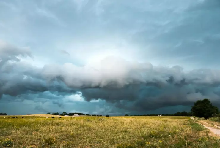 ¿Lloverá en Aguascalientes durante agosto 2024 Revelan pronóstico del clima para este mes