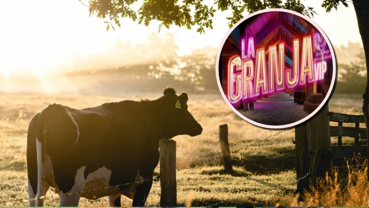 Qué vaca te representa en La Granja VIP según tu personalidad.jpg