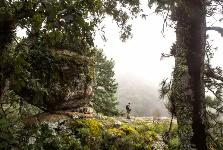 Pueblo Mágico boscoso