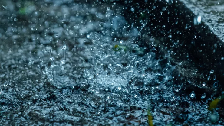 primera onda tropical 2024