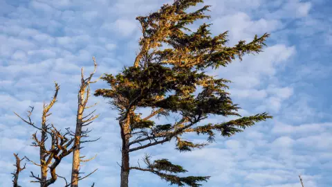 fuertes vientos en el estado de Chihuahua
