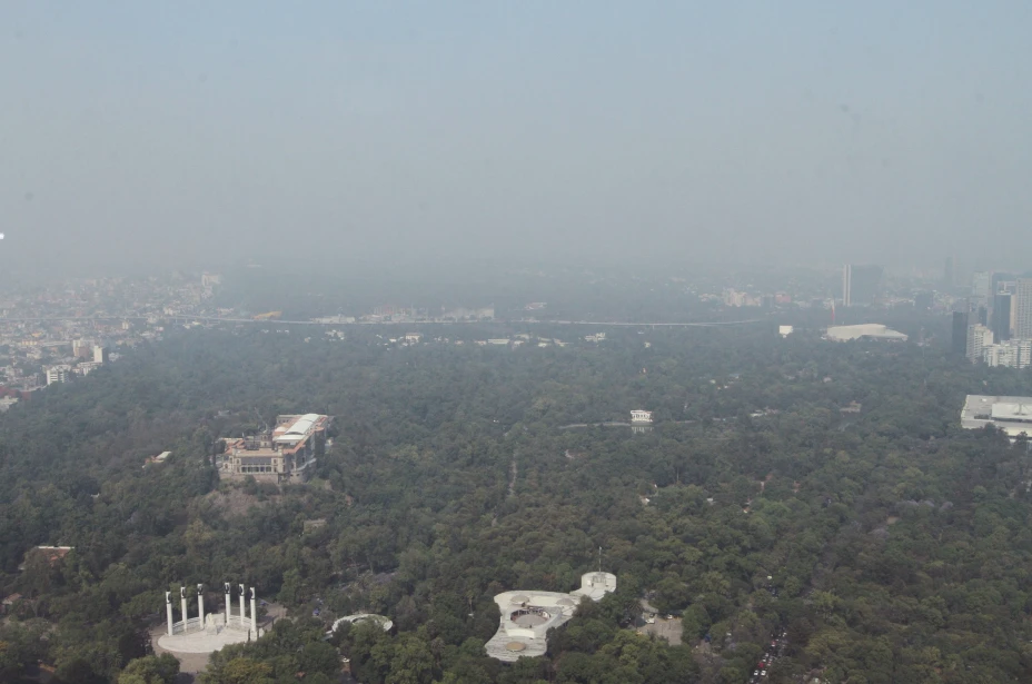 Contaminación