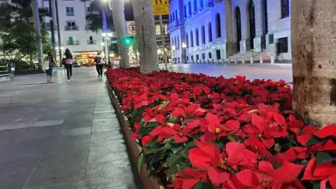 Vigilarán con cámaras las Nochebuenas de Tampico para evitar su robo