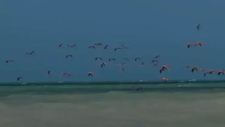 Estos son los 3 mejores Pueblos Mágicos en Yucatán para pasar la Navidad 2024 en Yucatán