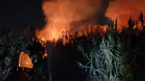 Sigue el incendio forestal en Naucalpan