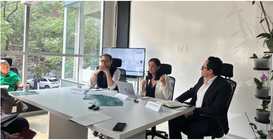 eleccion judicial.png