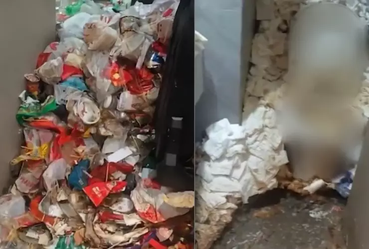 habitación huesped gamer