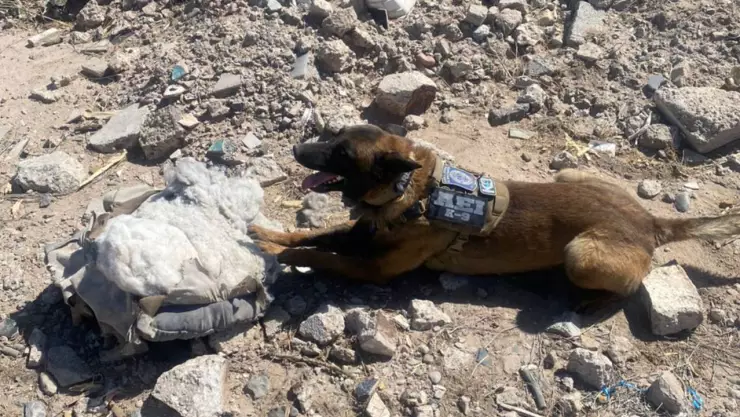 Localizan restos óseos en Cd. Juárez